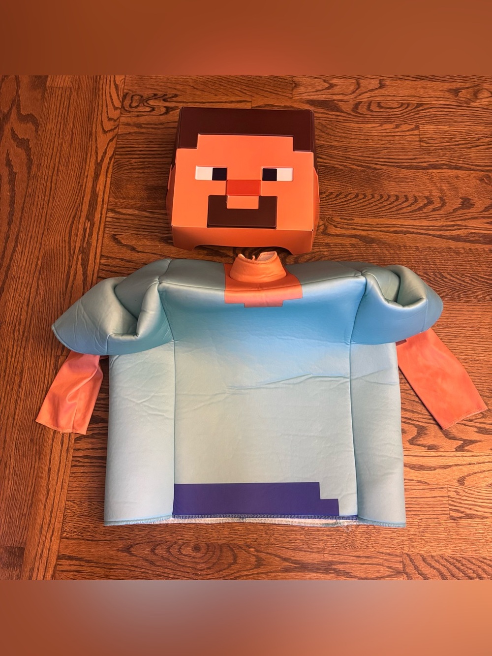 Minecraft Steve Costume - Kid’s Size 4-6
